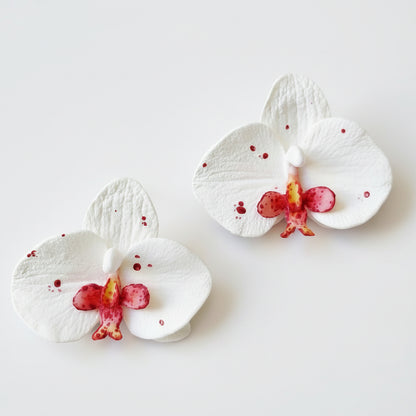 White Phalaenopsis Orchid Stud Earrings